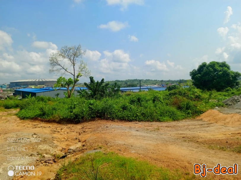 Image principale de Terrain a vendre yassa