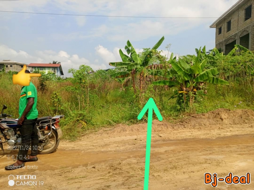 Image principale de Terrain à vendre yassa