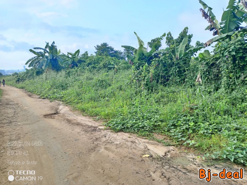 Image principale de Terrain a vendre yassa maetur