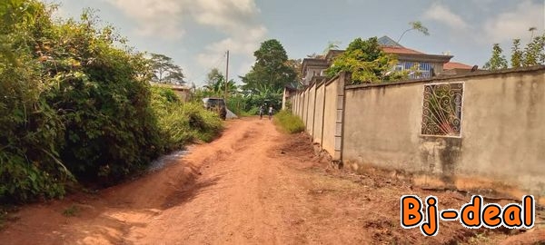 Image principale de Pour une urgence familiale un propriétaire brade