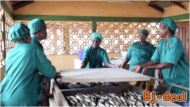 Image principale de Financement de 5000 projets au Cameroun par A2A