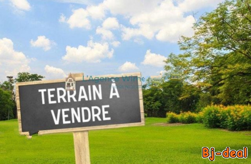 Image principale de 5000m2 de terrain à vendre à Ydé