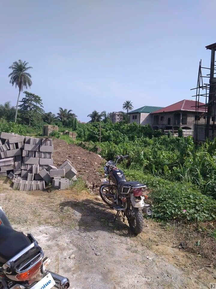 Main image of terrain titré a vendre denver bonamoussadi