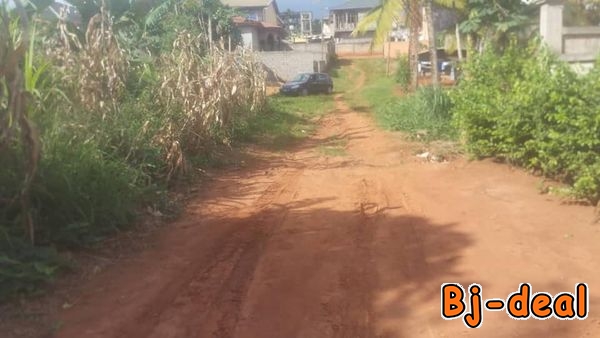 Image principale de Terrain titré  à vendre à Awae Ewankang