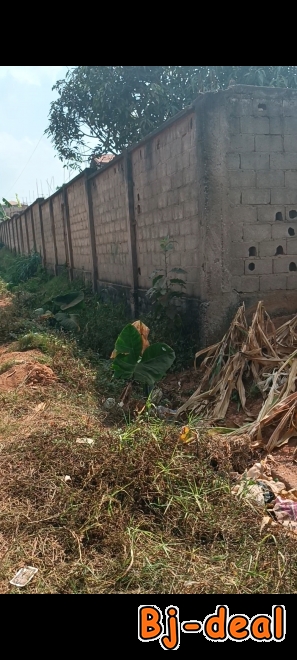 Image principale de vente Terrain titré a Ekié