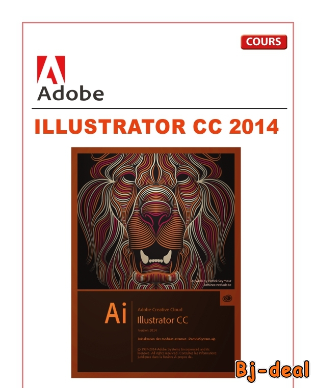 Main image of Formation en infographie