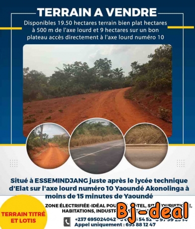 Image principale de Terrains Titrés et lotis à vendre