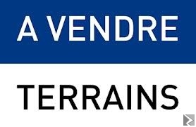 Main image of Terrain titré