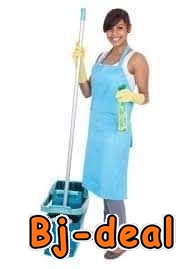 Main image of recherche d'une ménagère résidente