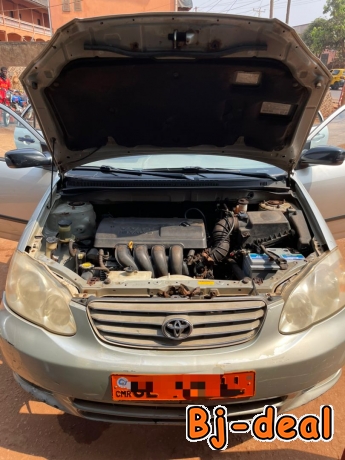 Main image of Vente toyota corolla