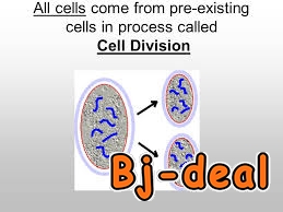 Main image of cours a domicile pour Les examens