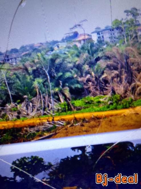 Image principale de Vente de terrain 1500m2 à Ndong par odja