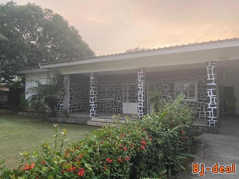 Main image of Maison 3 chambres avec jardin à Bonabéri