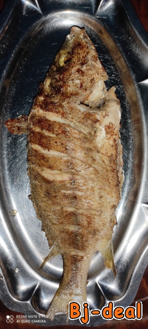 Image principale de Filles pour taches diverses