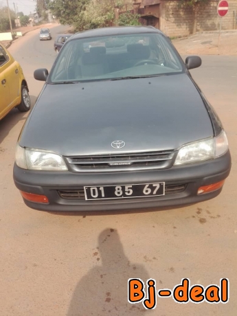 Main image of Carina e Berline