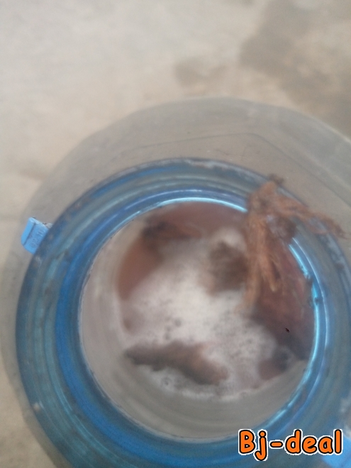 Image principale de Blocage avec Cadenas d'amour