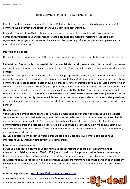 Image principale de COMMERCIAUX DE TERRAIN CAMEROUN