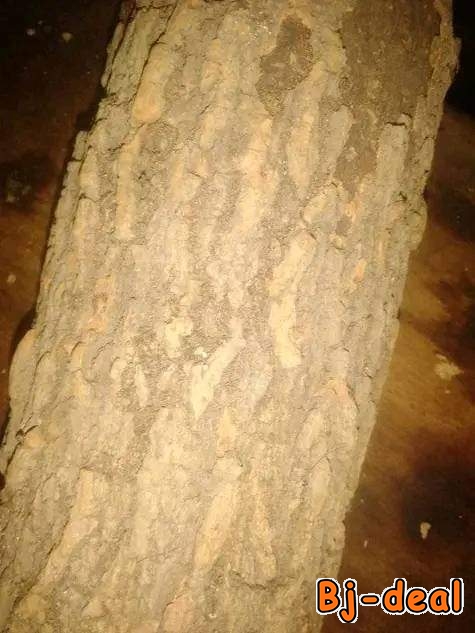 Image principale de Mariage a tout prix