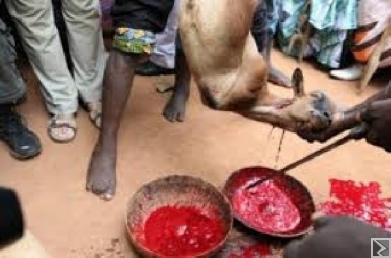 Image principale de GRAND MARABOUT FETICHEUR SORCIER DONNE POUVOIR DARGENT PORTEFEUILLE MAGIQUE AVOIR LA RICHESSE EN 7 JOUR ANNEE 2018