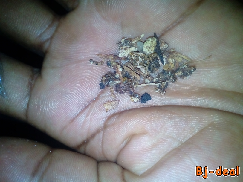 Image principale de Pour tous vos problèmes de vols