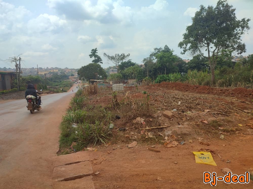 Image principale de Terrain à vendre à Damas en Route
