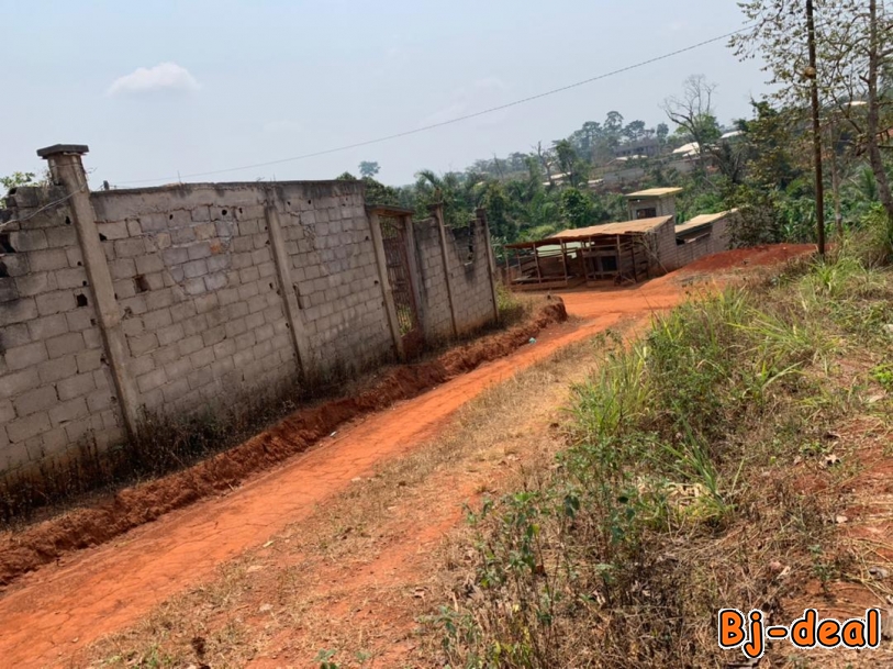 Image principale de Terrain de 350m2 Titrés à vendre à Nomayos