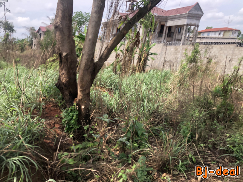 Image principale de Terrain Titré Lotis à vendre