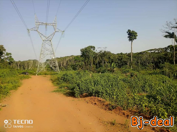 Image principale de 100 Hectares de terrain titré pour agriculture