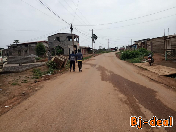 Image principale de 2 Hectares de terrain titré Loti à vendre