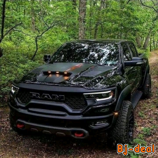 Main image of Location de terrains dans une forêt vierge