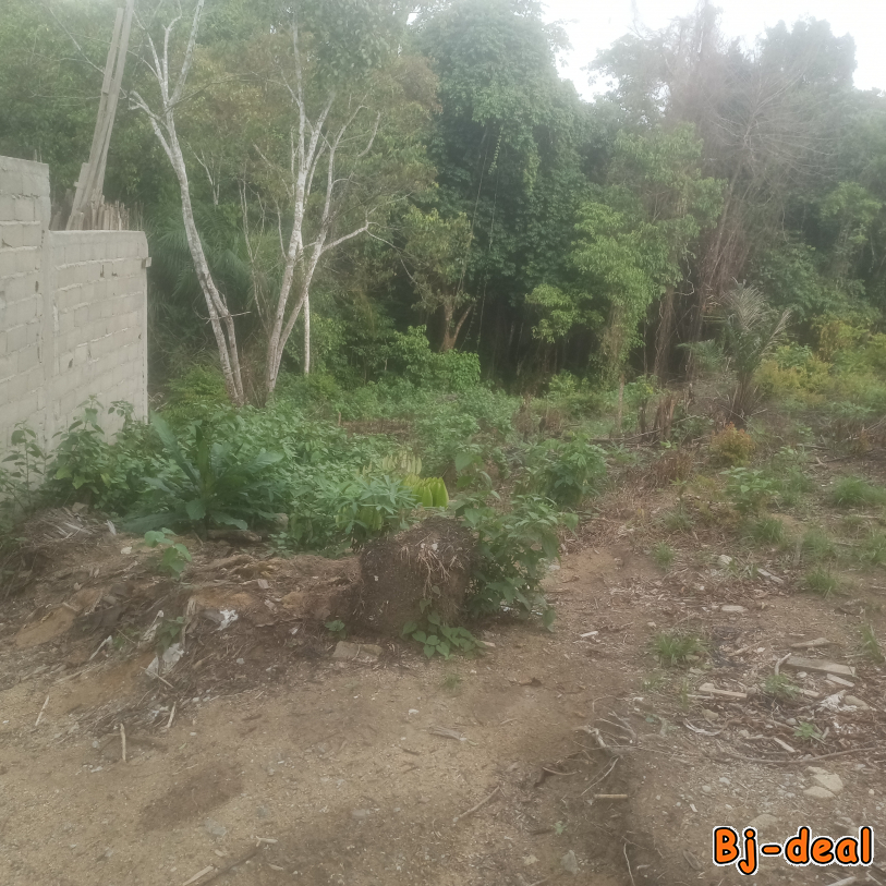 Image principale de 1000m de terrain a vendre bomono gare