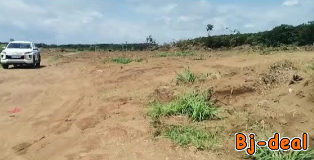 Image principale de TERRAIN TITRÉ 1 HECTARE