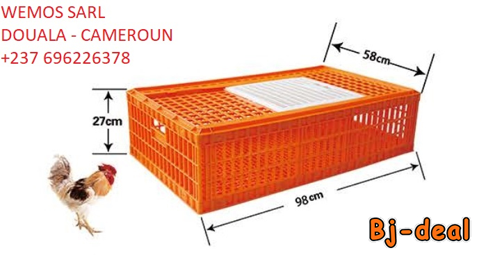 Image principale de Caisse de transport pour volaille