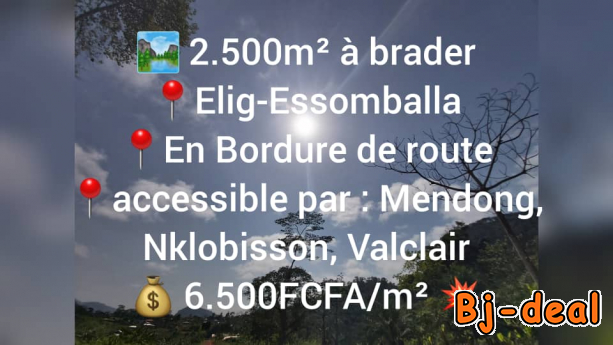 Image principale de Terrain de 2500m2 à vendre à Eloumdem en Route