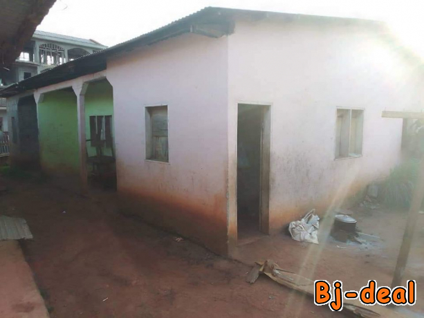 Main image of mini appartement plus mini studio à vendre