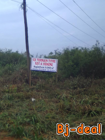 Image principale de Terrain titré à vendre 5000 m2