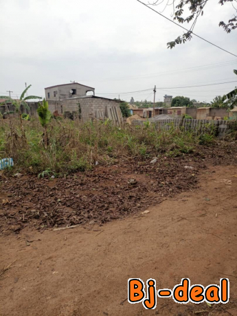 Image principale de terrain titré à vendre