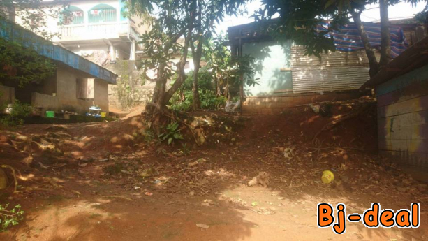 Image principale de terrain à vendre avec maison