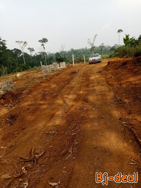 Image principale de terrain titré et lotis à vendre