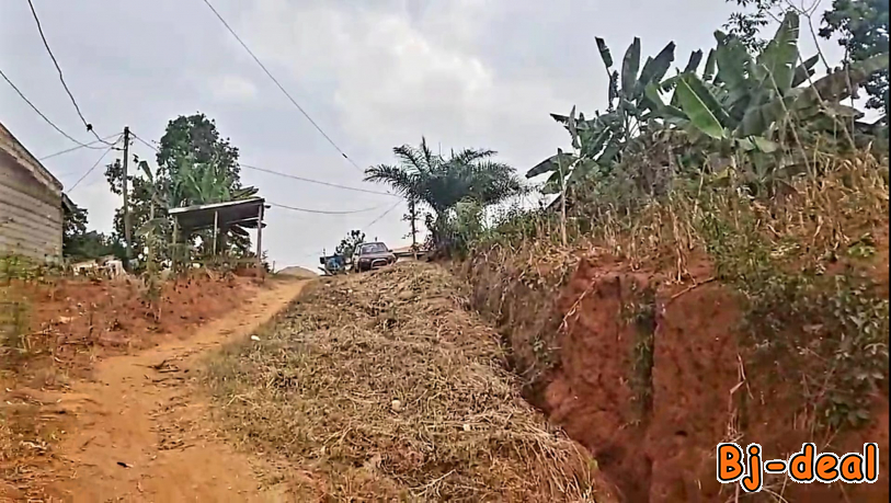 Image principale de terrain titré à vendre