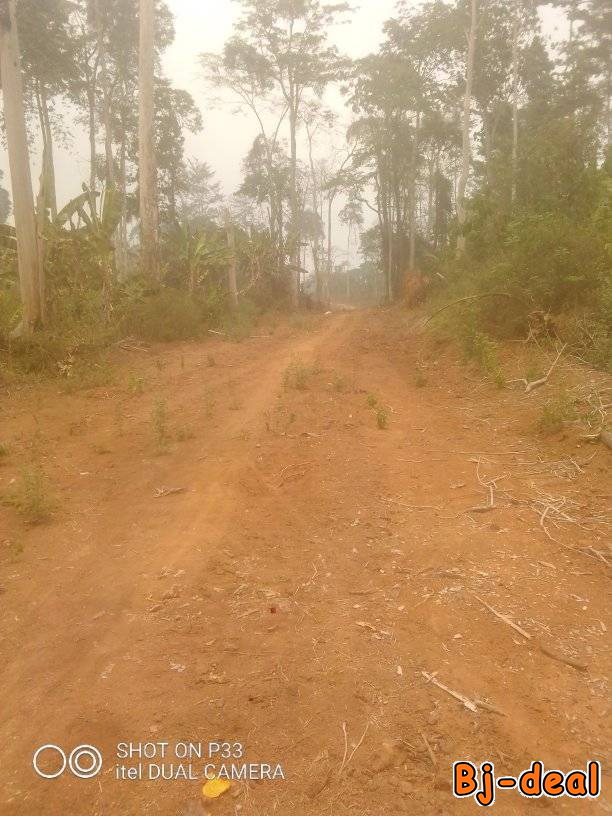 Image principale de 1000m2 de terrain à vendre