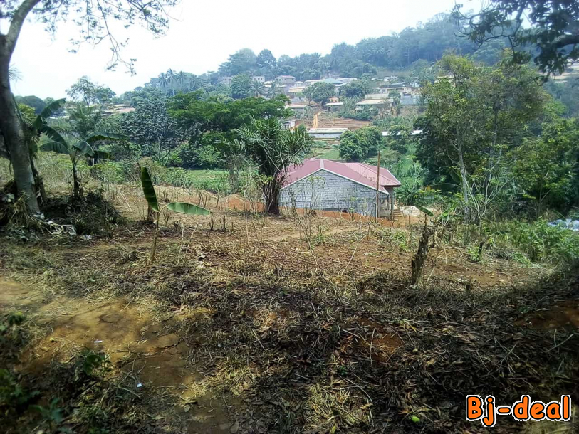 Image principale de Terrains titré et loti à vendre