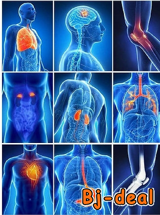 Image principale de BILAN DE SANTE GÉNÉRALE DU CORPS