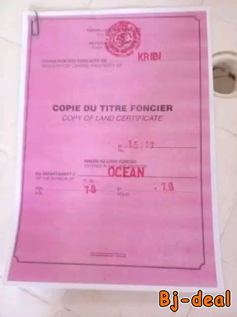 Image principale de Terrain de 7ha à vendre à kribi