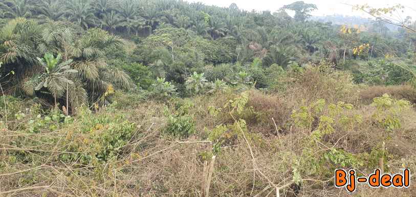 Main image of Terrain titré à vendre