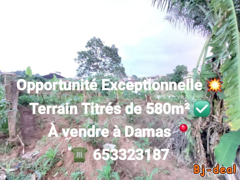 Image principale de Terrain de 580m2 à vendre à Maison Damas