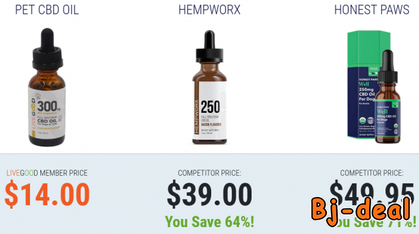 Main image of Comment utiliser IA dans la santé