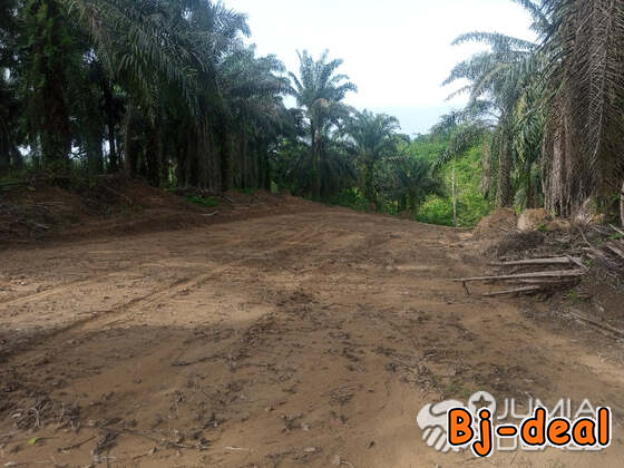 Main image of Terrain titré à vendre à PK27