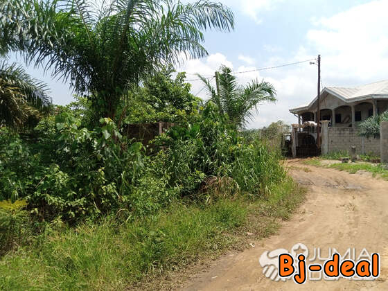 Main image of Terrain titré à vendre à PK21