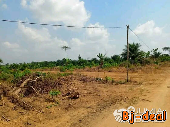 Main image of Terrain à vendre à PK23